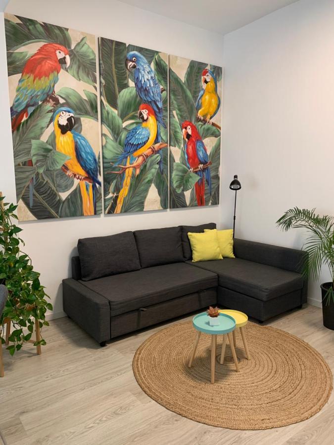 Apartament Casa Papagayo Santa Cruz de Tenerife Zewnętrze zdjęcie