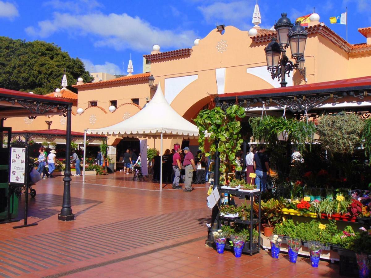 Apartament Casa Papagayo Santa Cruz de Tenerife Zewnętrze zdjęcie