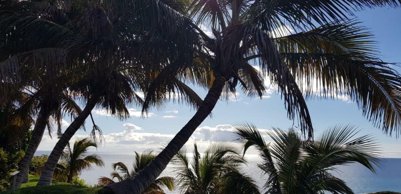 Apartament Casa Papagayo Santa Cruz de Tenerife Zewnętrze zdjęcie